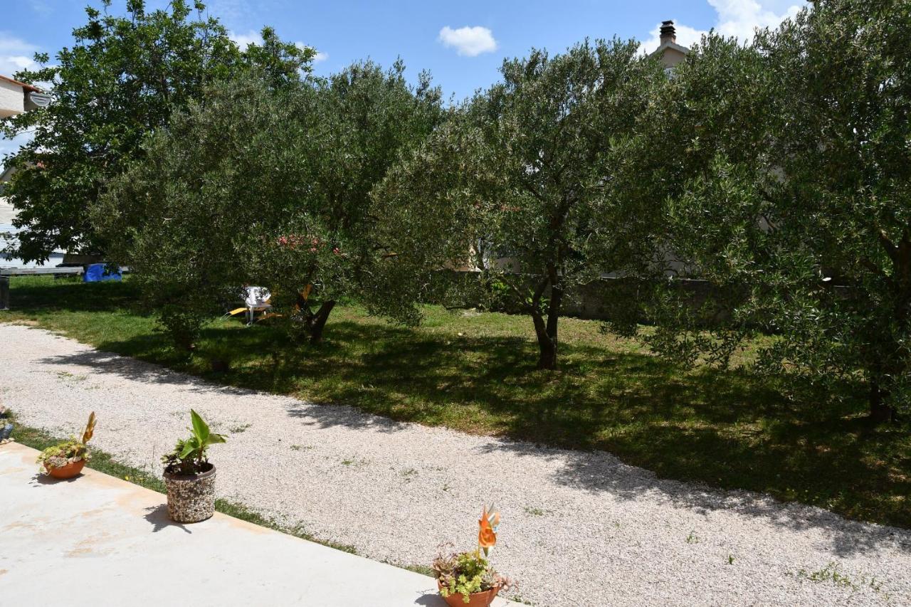 Apartmani Joja Biograd Na Moru Exteriér fotografie